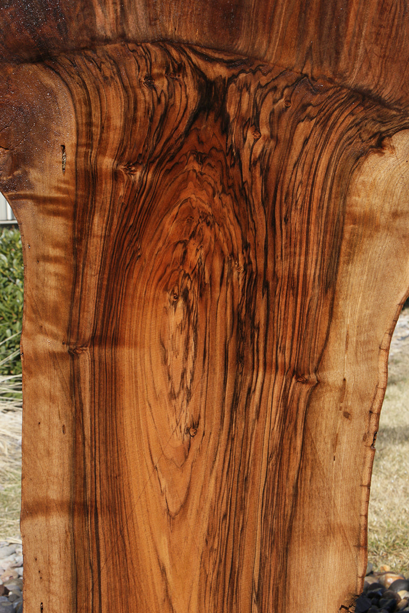 Extra Fancy English Claro Graft Walnut Live Edge Slab (Freight Shipping Required)