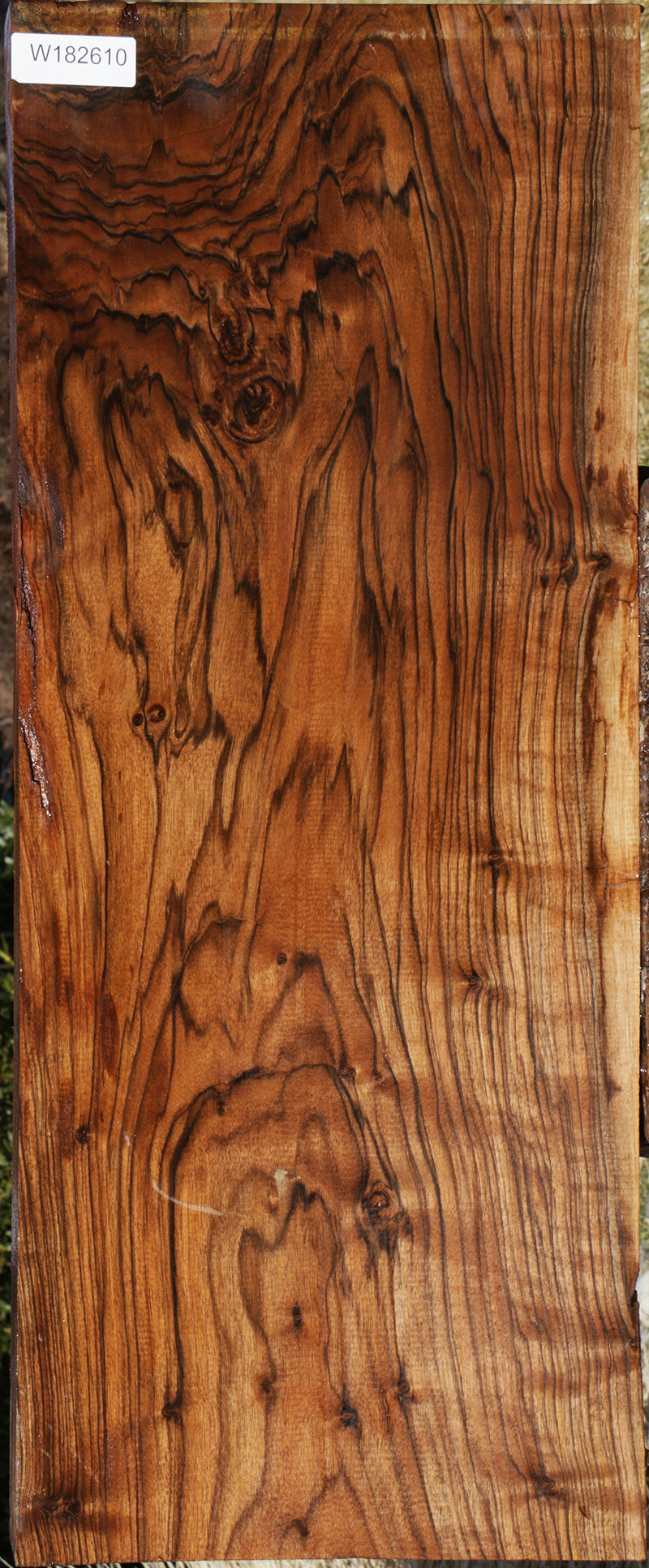Exhibition Spalted Marblecake English Walnut Lumber