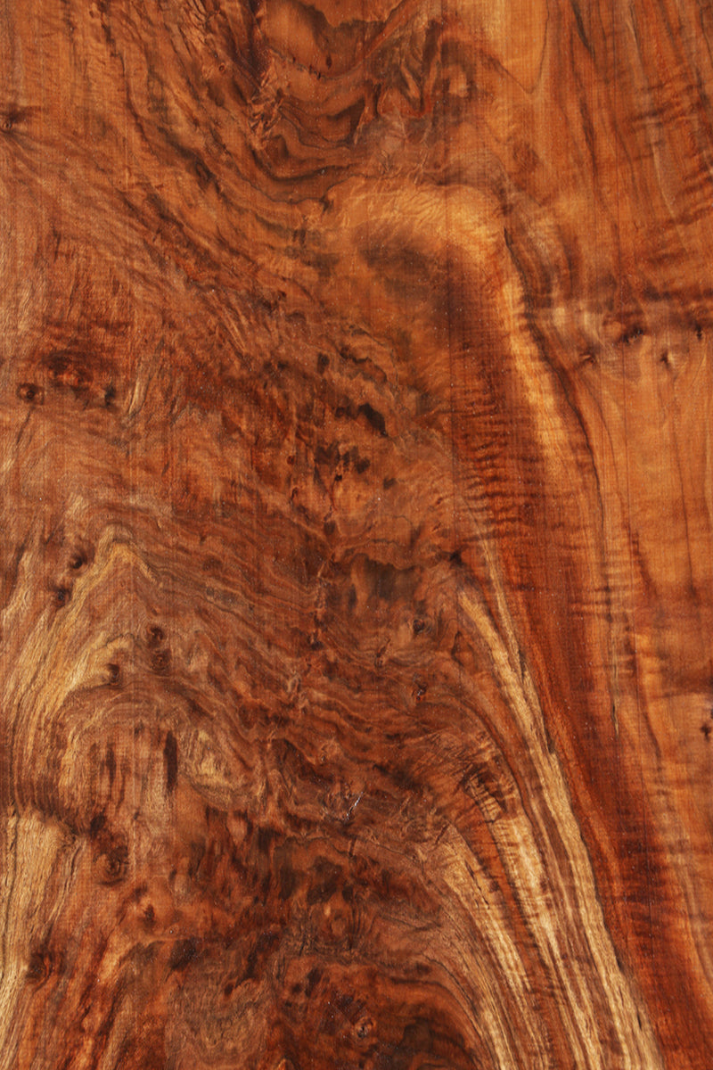 Exhibition Crotchwood Claro Walnut Rustic Live Edge Slab (Freight Shipping Required)