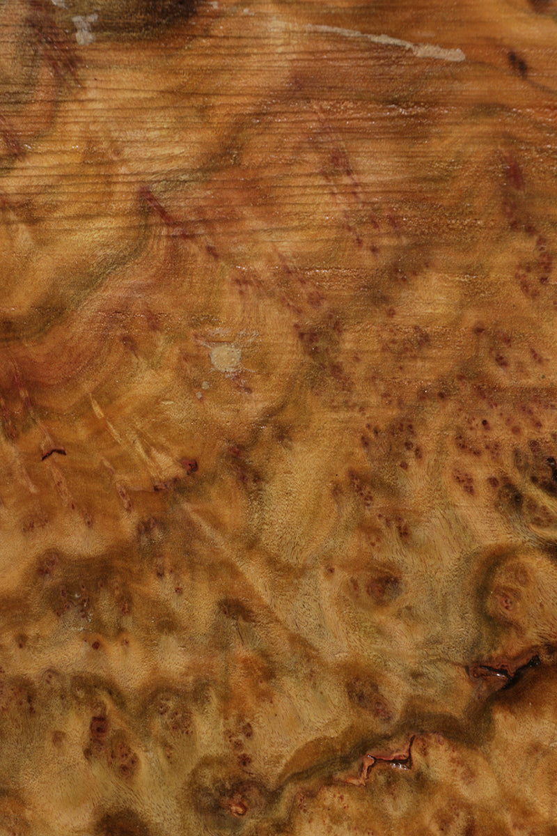 Camphor Burl Live Edge Lumber