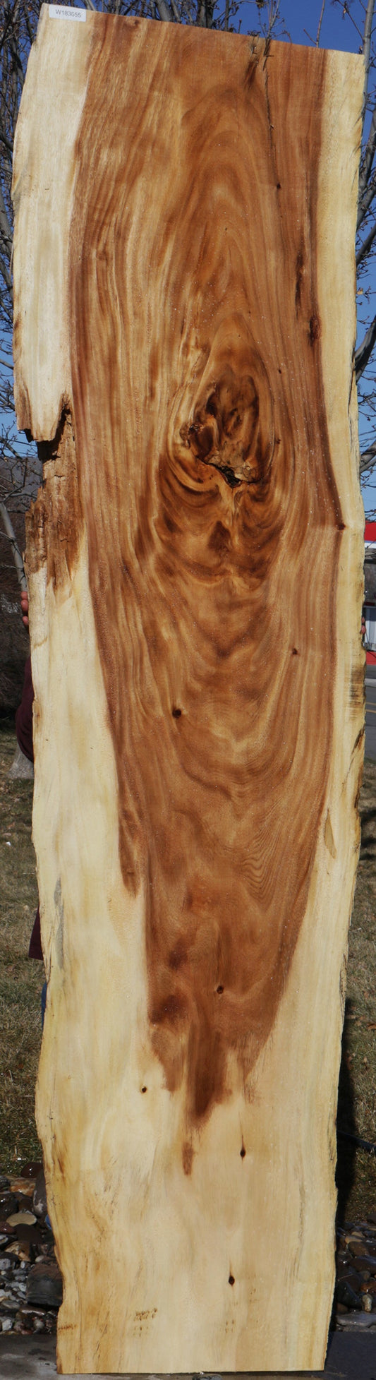 Rustic Monkeypod Live Edge Slab