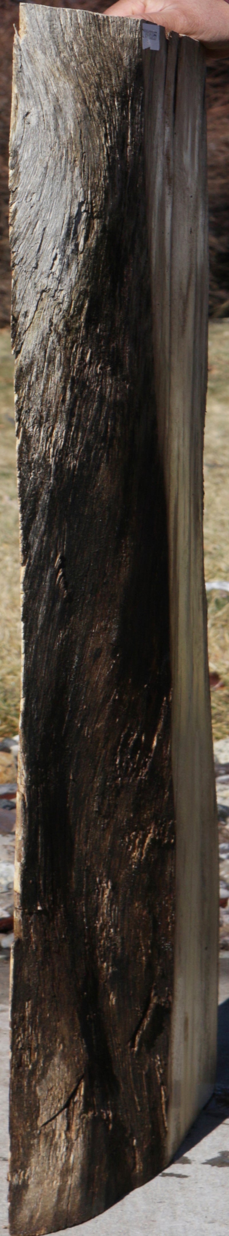 Monkeypod Rustic Live Edge Lumber