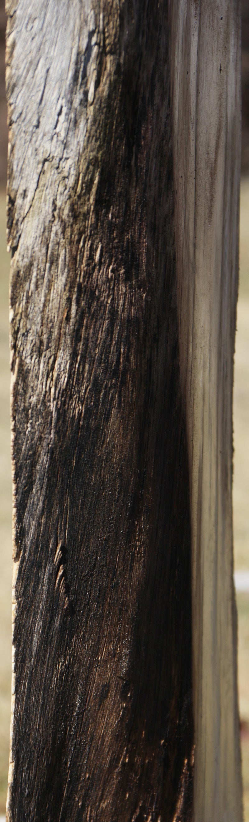 Monkeypod Rustic Live Edge Lumber