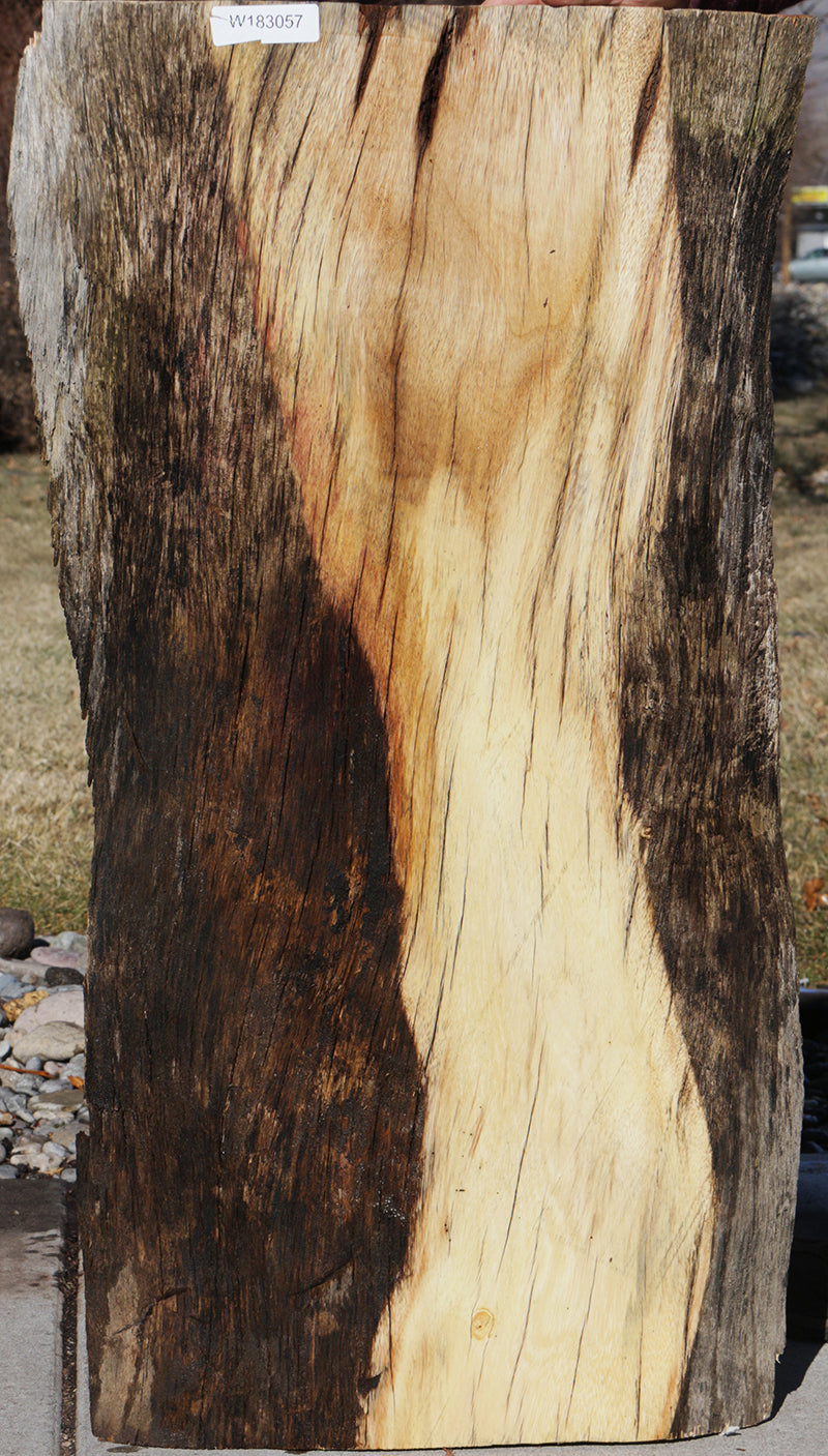 Monkeypod Rustic Live Edge Lumber