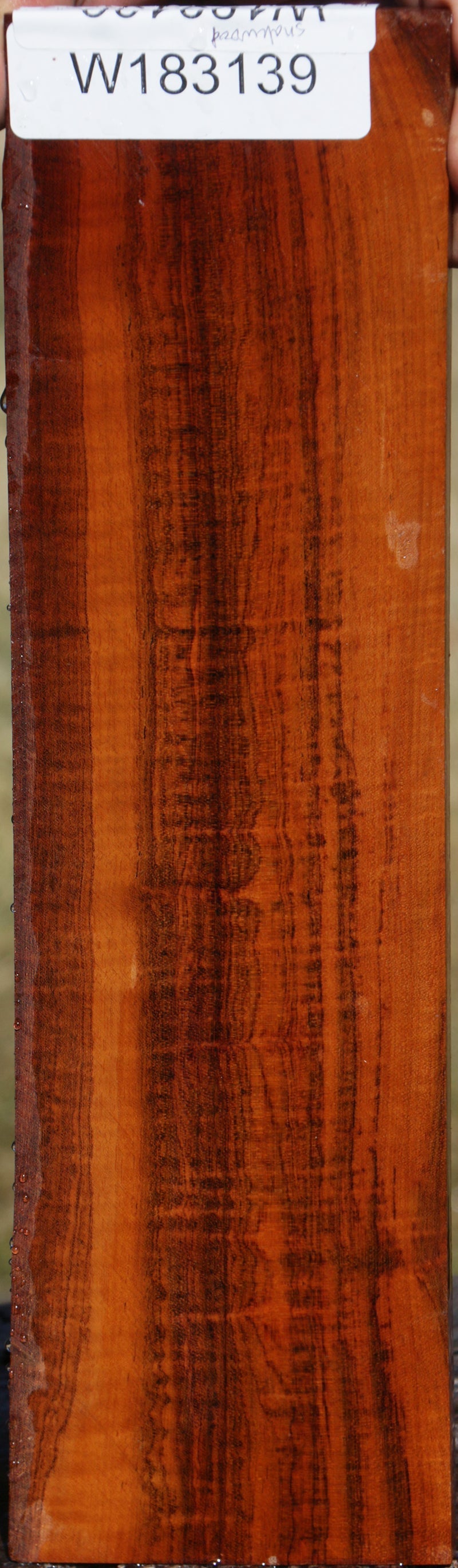 Snakewood Micro Lumber
