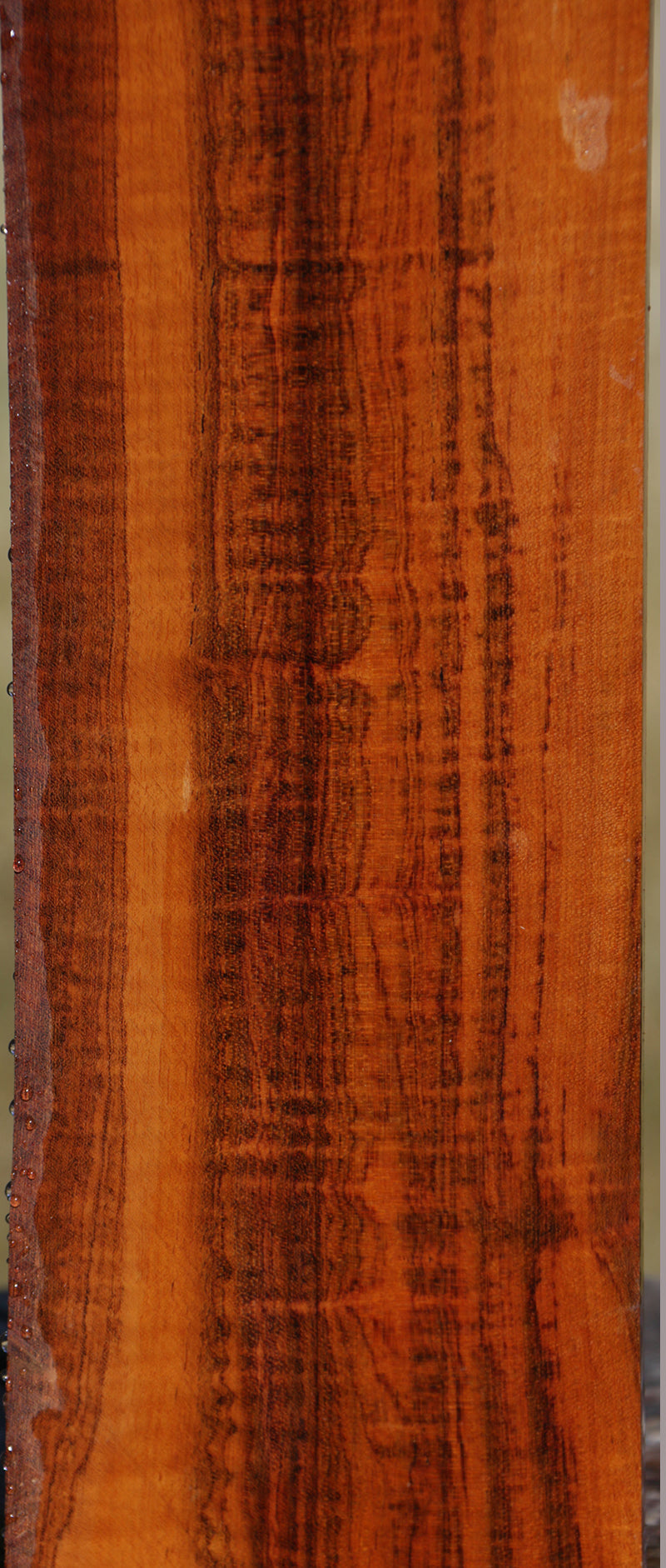 Snakewood Micro Lumber