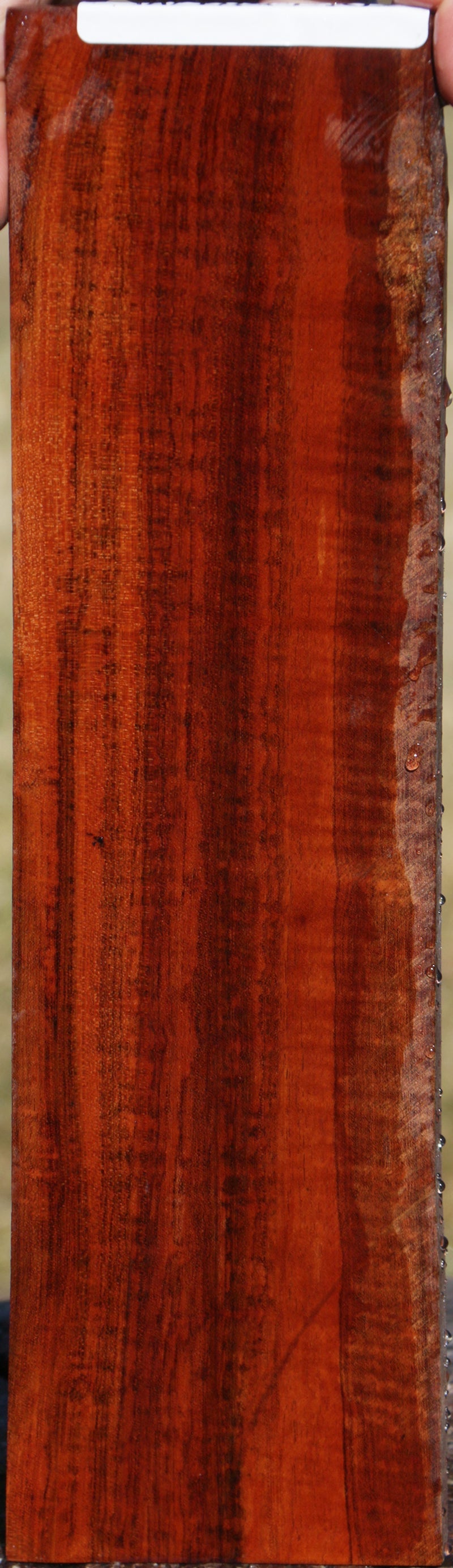 Snakewood Micro Lumber