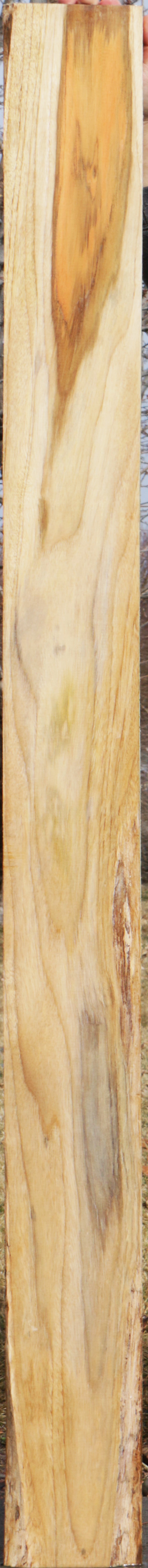 Teak Lumber