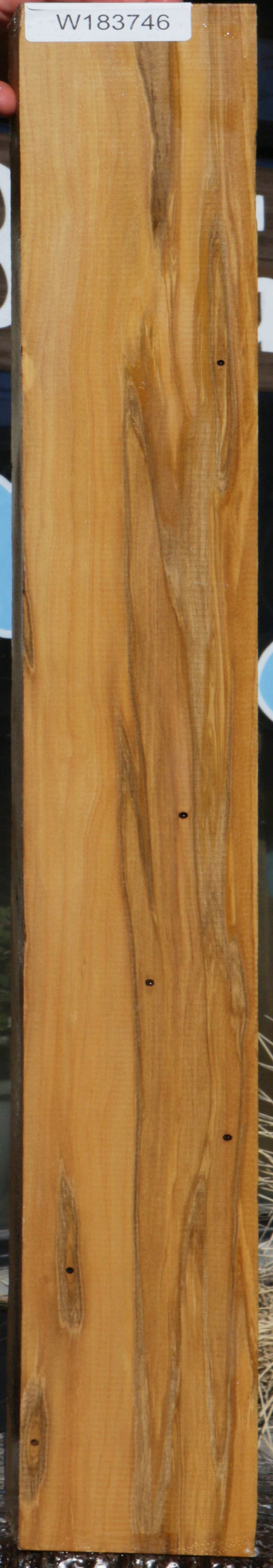 Extra Fancy Castello Boxwood Lumber