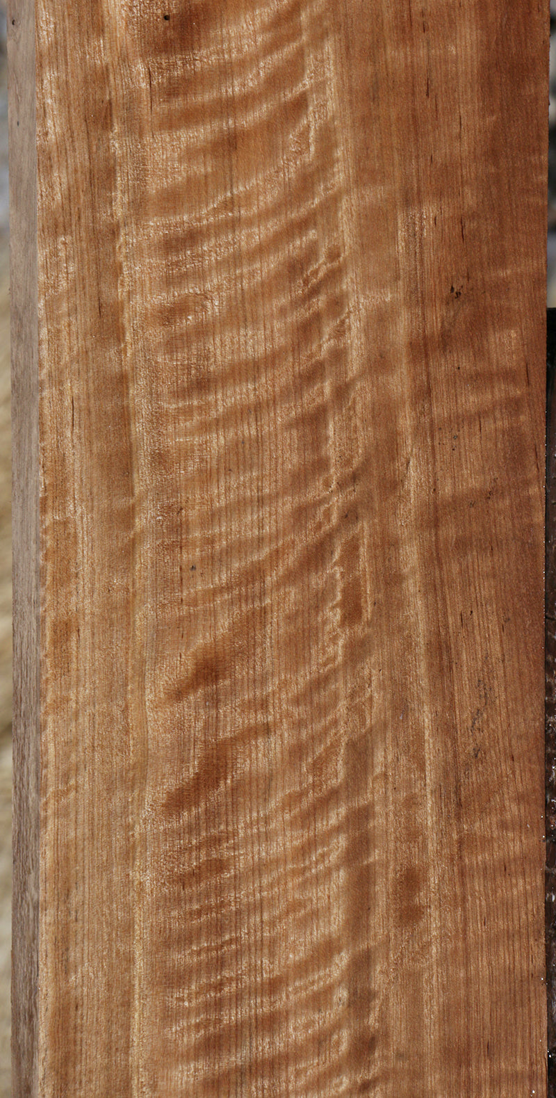 Curly Pyinma Lumber