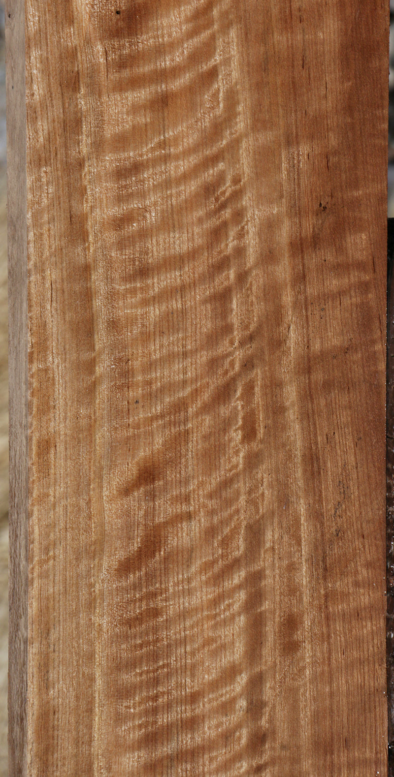 Curly Asian Satinwood Lumber