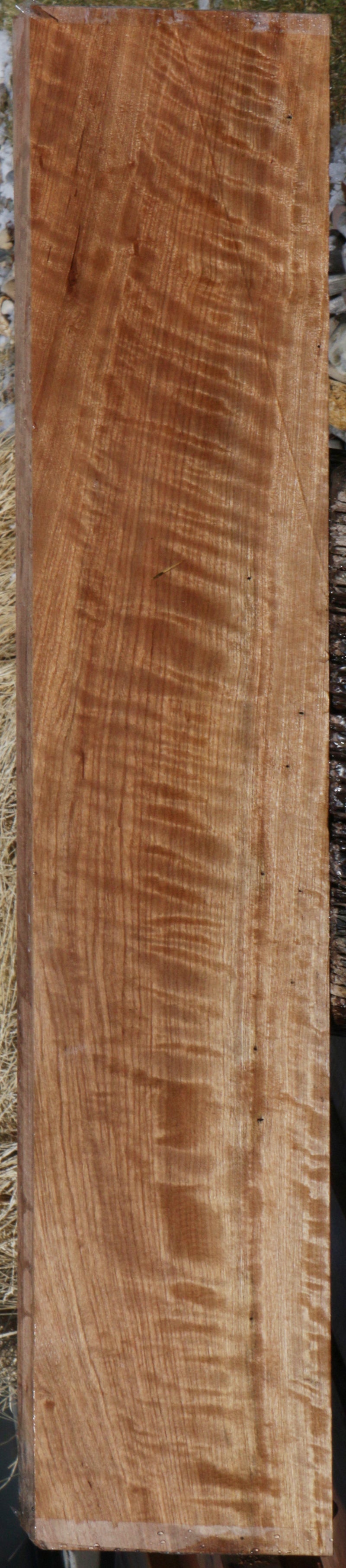 Curly Asian Satinwood Lumber