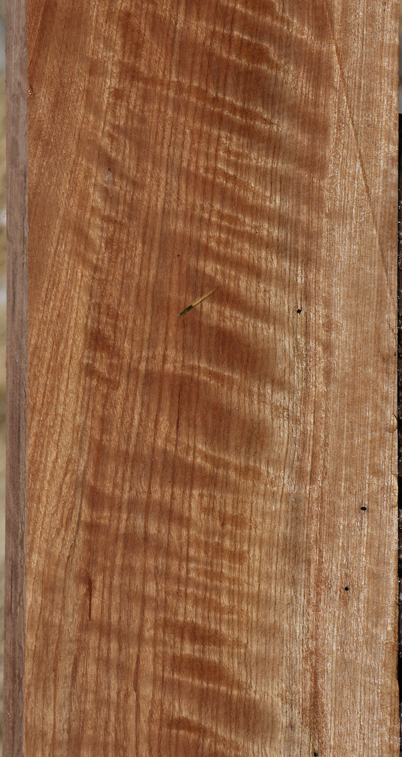 Curly Pyinma Lumber
