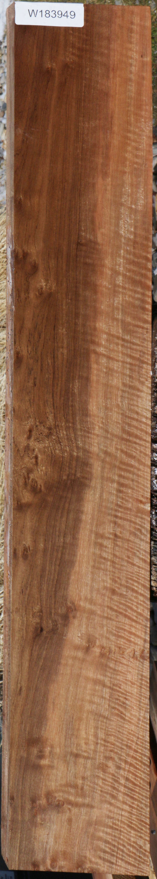 Curly Asian Satinwood Lumber