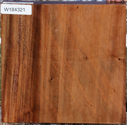 Monkeypod Bowl Blank