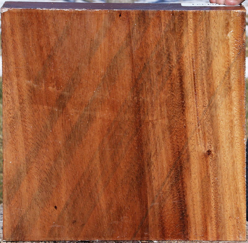 Monkeypod Bowl Blank