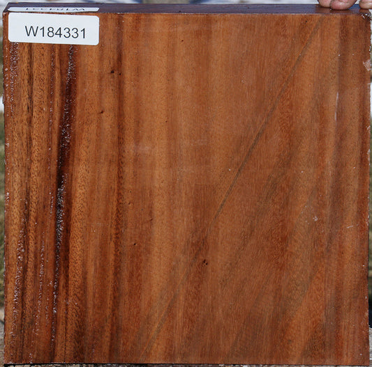 Monkeypod Bowl Blank