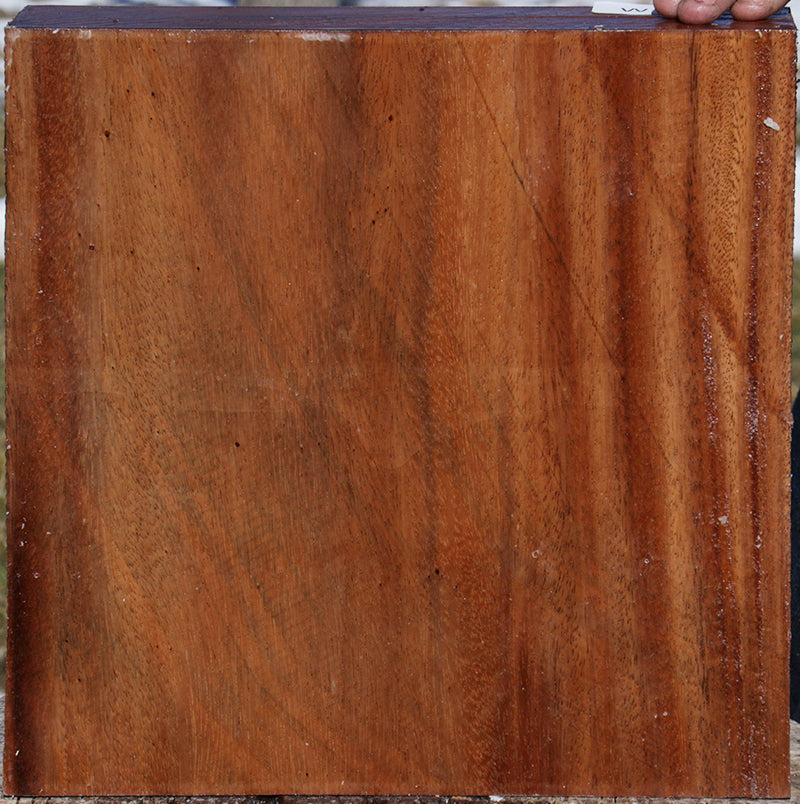 Monkeypod Bowl Blank