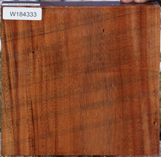 Monkeypod Bowl Blank