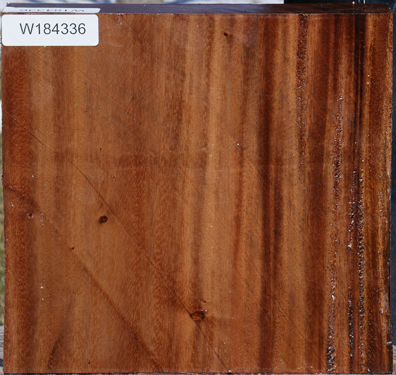 Monkeypod Bowl Blank