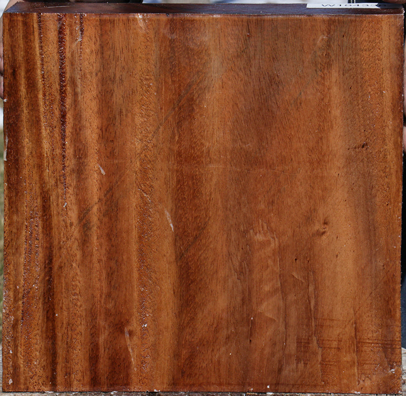 Monkeypod Bowl Blank