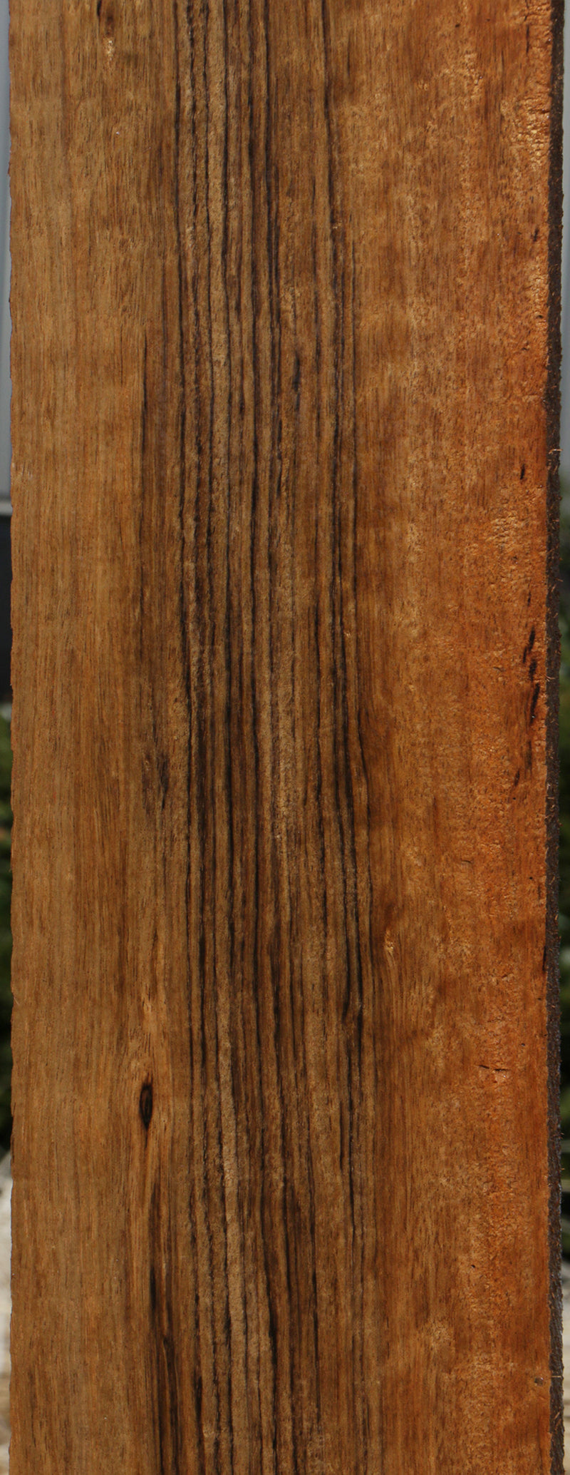 Amazique Lumber