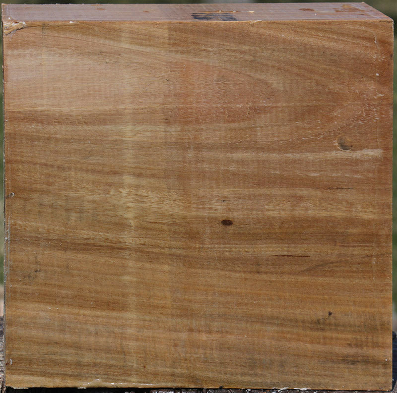 Extra Fancy Australian Eucalyptus Bowl Blank