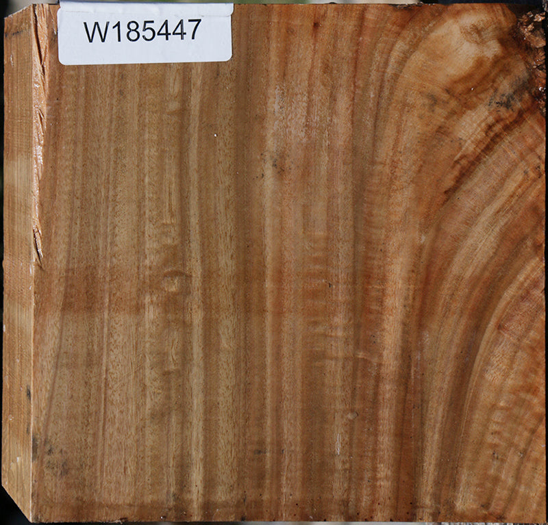 Extra Fancy Australian Eucalyptus Bowl Blank