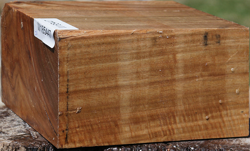 Extra Fancy Australian Eucalyptus Bowl Blank