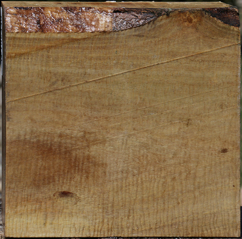 Extra Fancy Australian Eucalyptus Bowl Blank