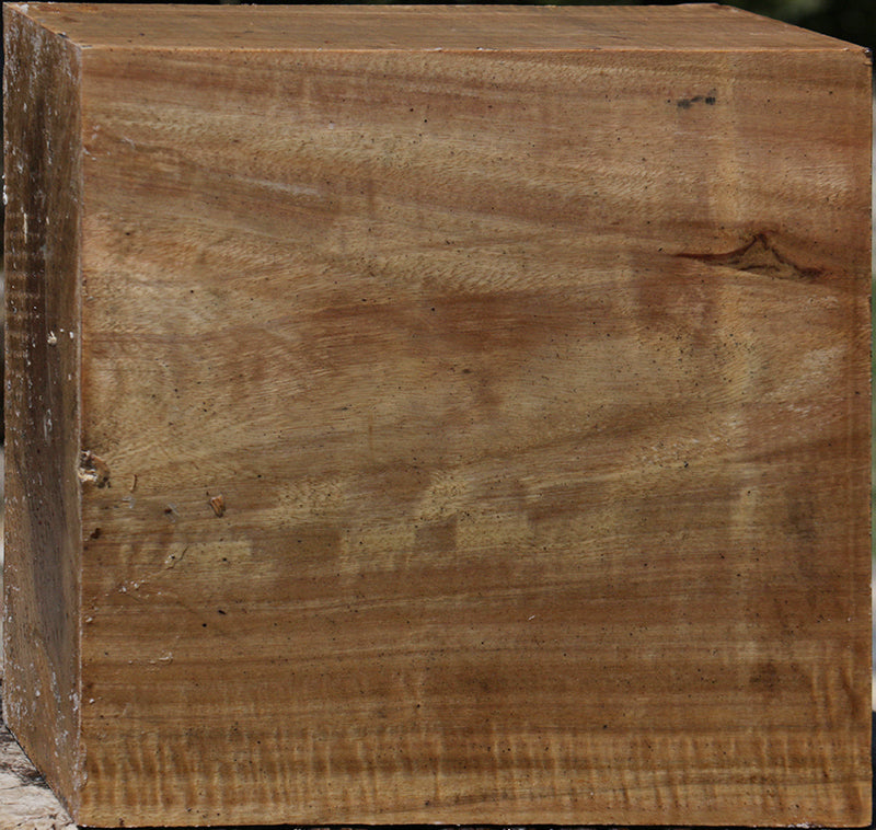 Extra Fancy Australian Eucalyptus Bowl Blank