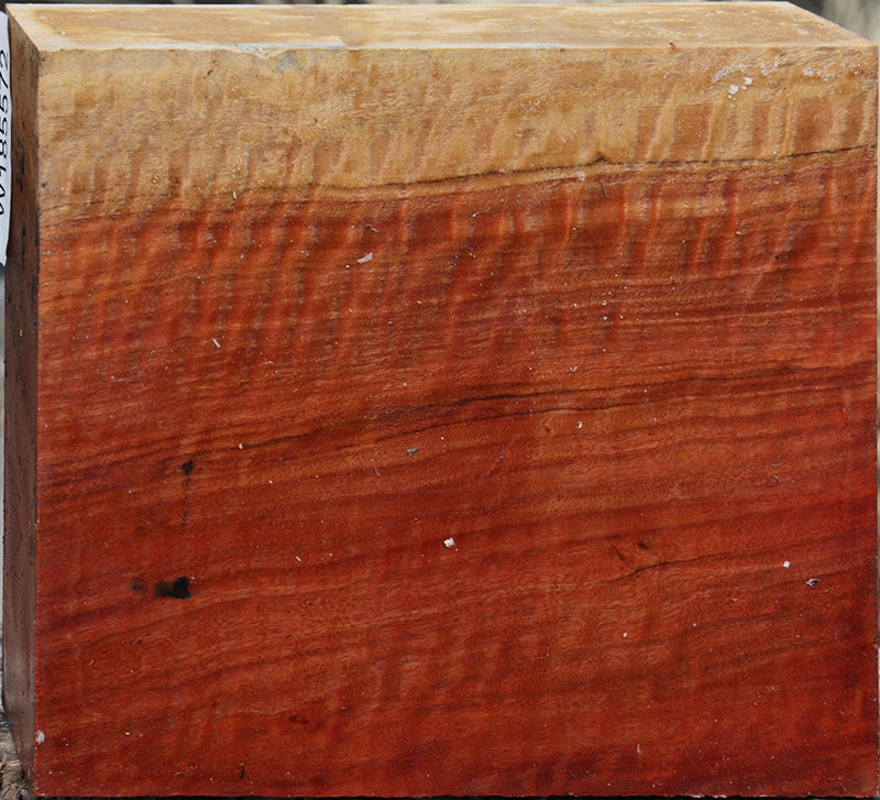Exhibition Curly Red Gum Bowl Blank