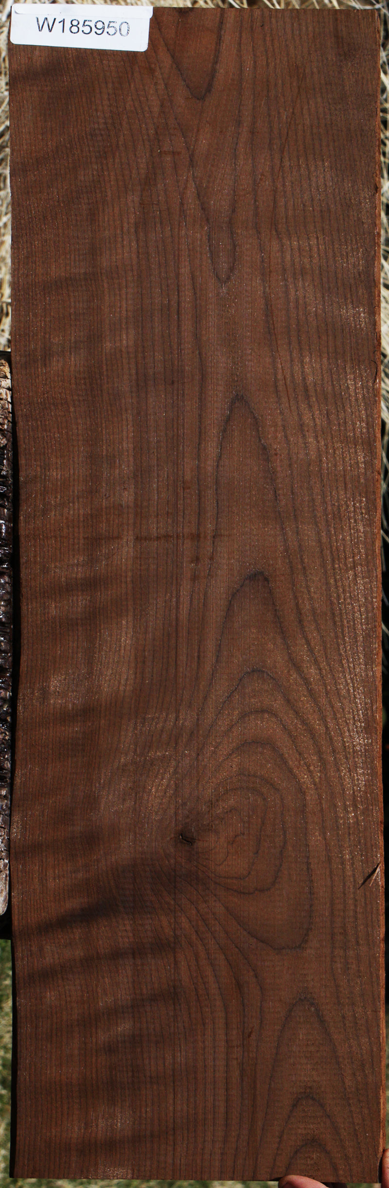 Figured Caramelized Birch Lumber