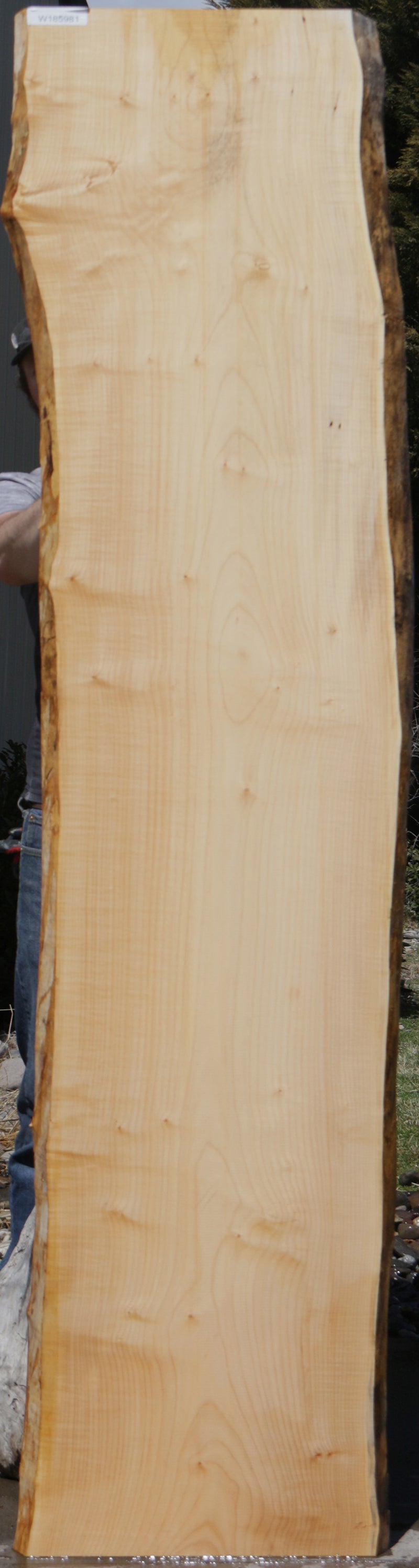 Eastern Hard Rock Maple Live Edge Lumber (Free Shipping Excluded ...