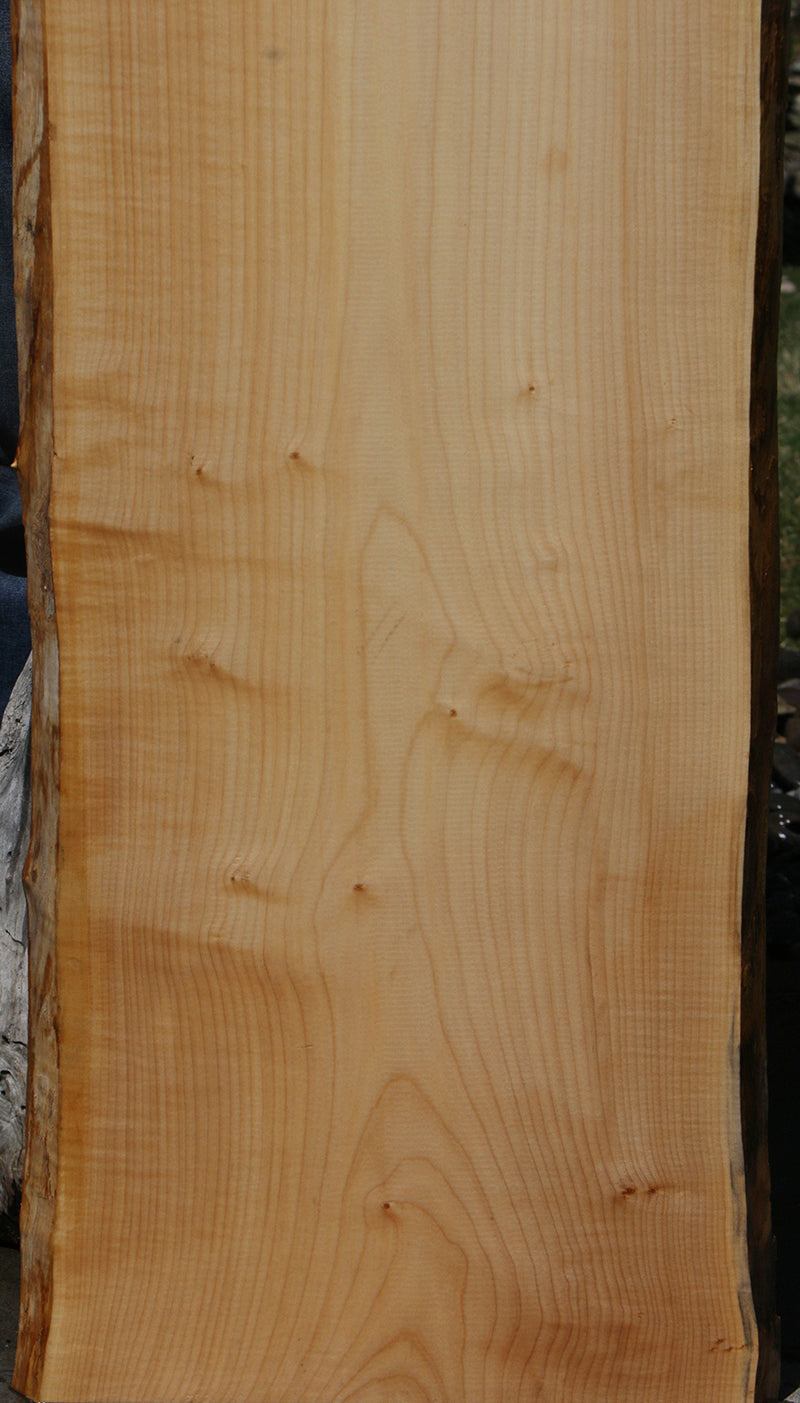 5 Rocks Maple Eastern Hard Rock Maple Live Edge Lumber (Free Shipping Excluded ...
