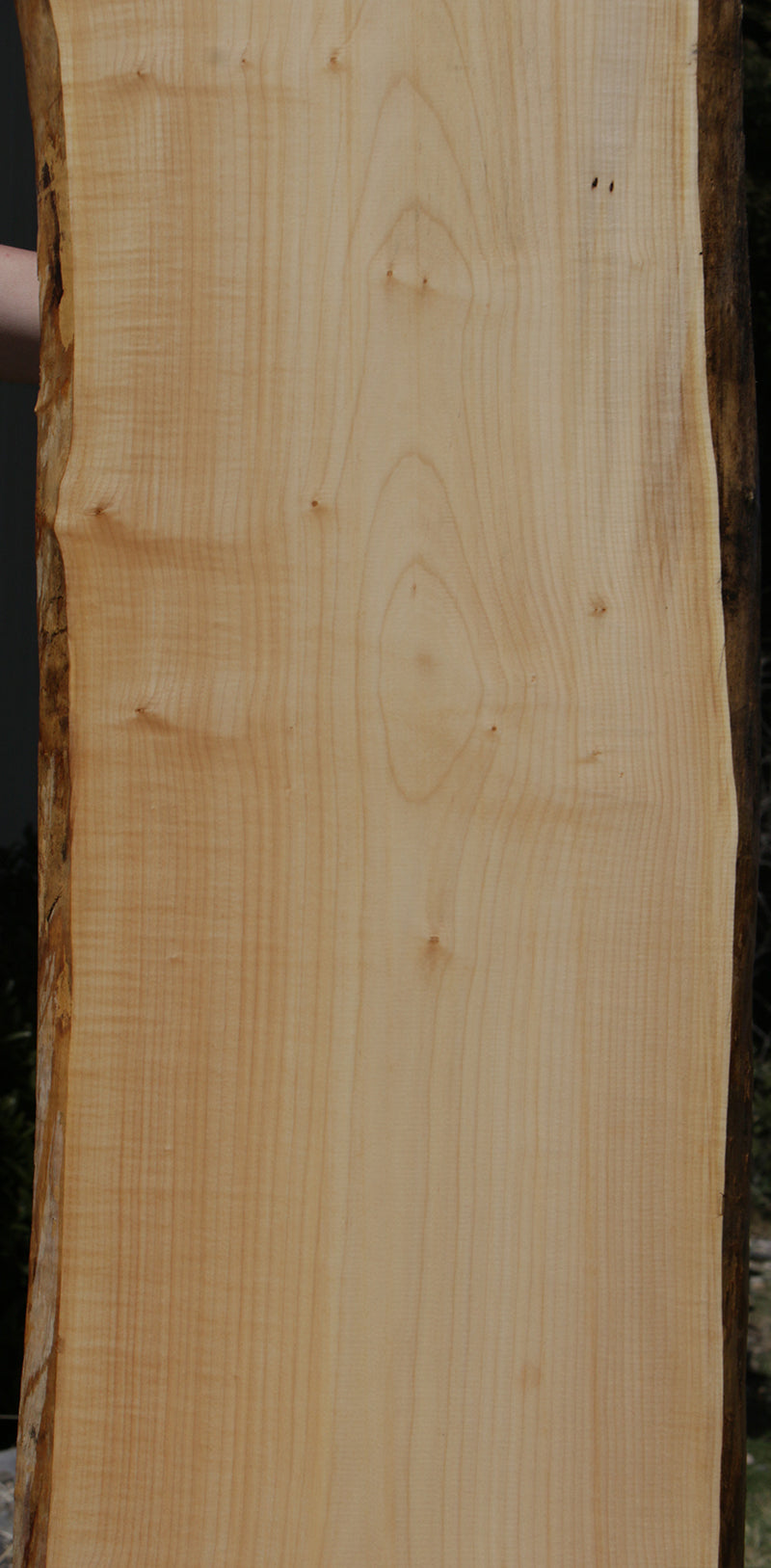 Eastern Hard Rock Maple Live Edge Lumber (Free Shipping Excluded)