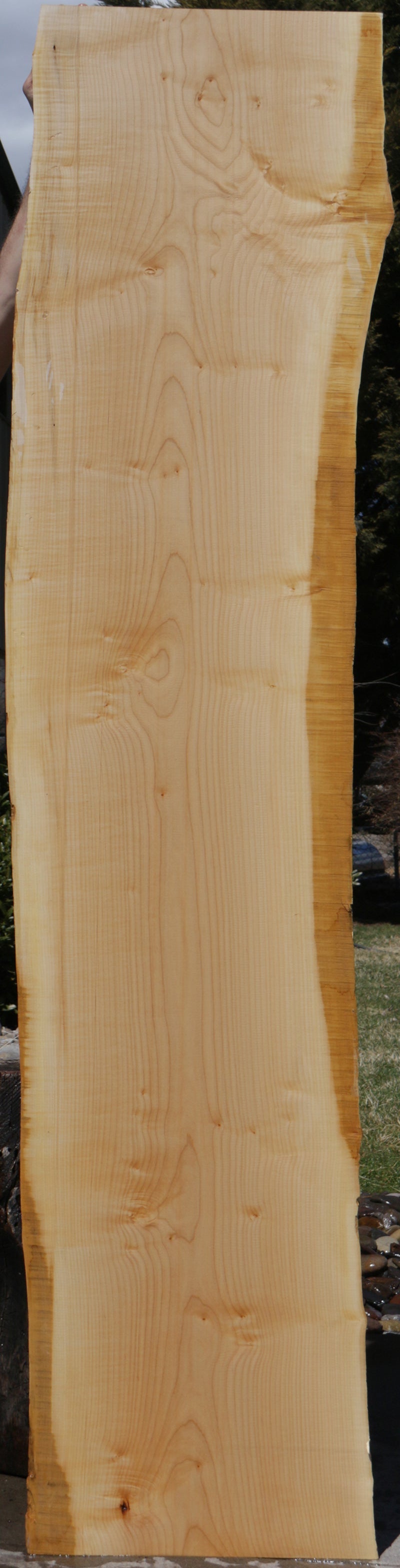 5 Rocks Maple Eastern Hard Rock Maple Live Edge Lumber (Free Shipping Excluded ...