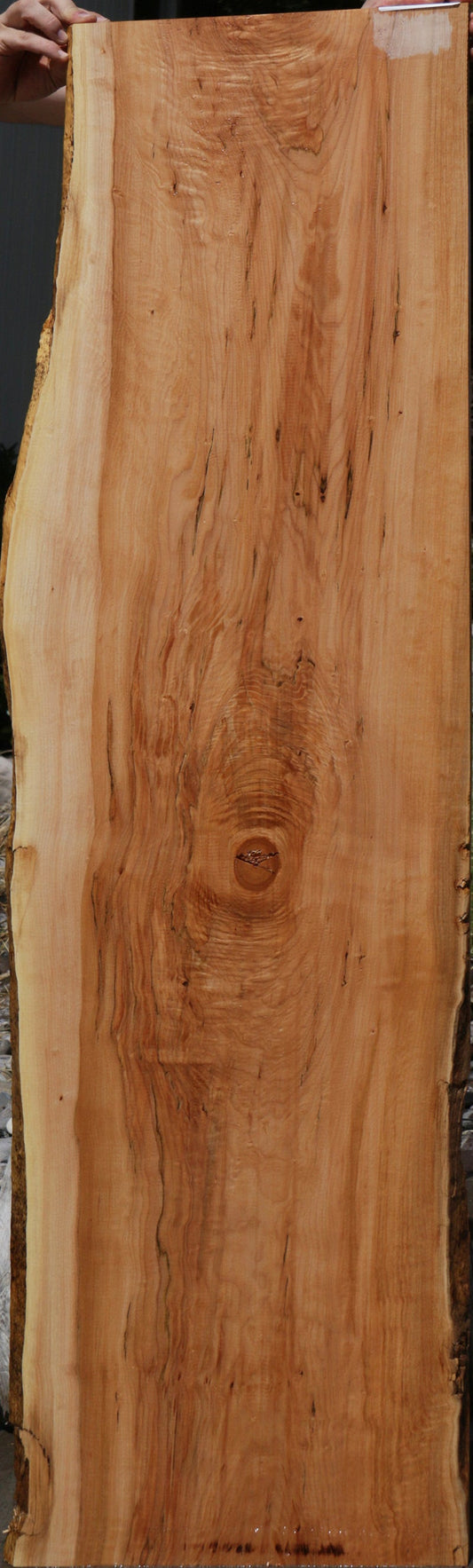 Western Big Leaf Maple Live Edge Lumber
