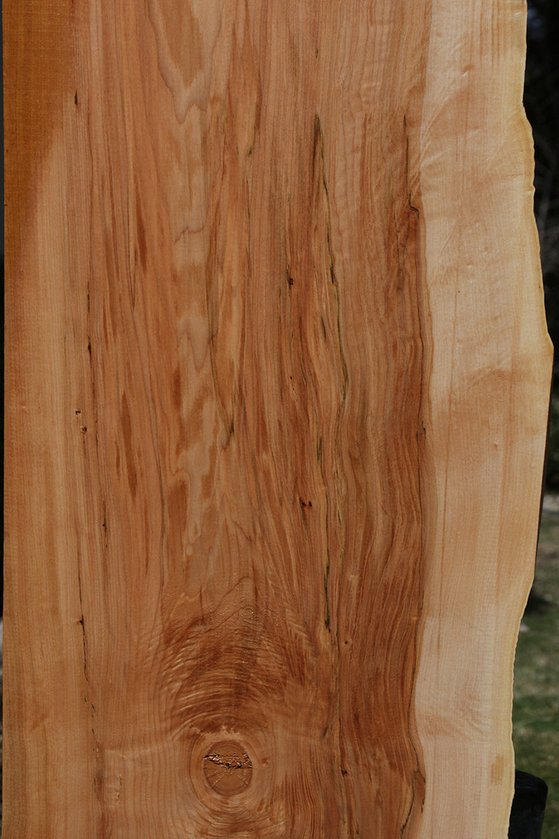 Maple Wood Slabs | Live Edge | Kiln Dried