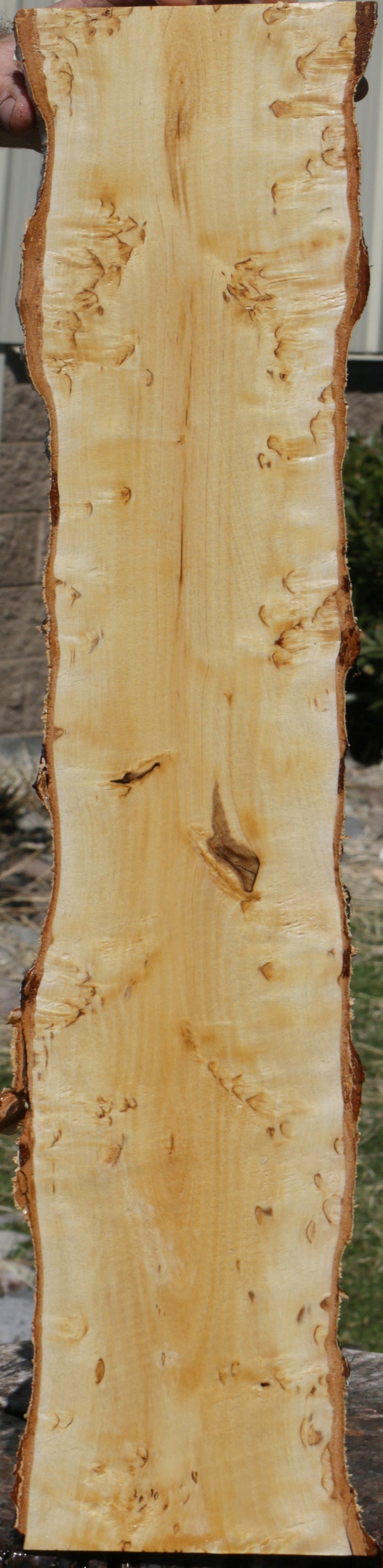 Extra Fancy Masur Birch Live Edge Lumber