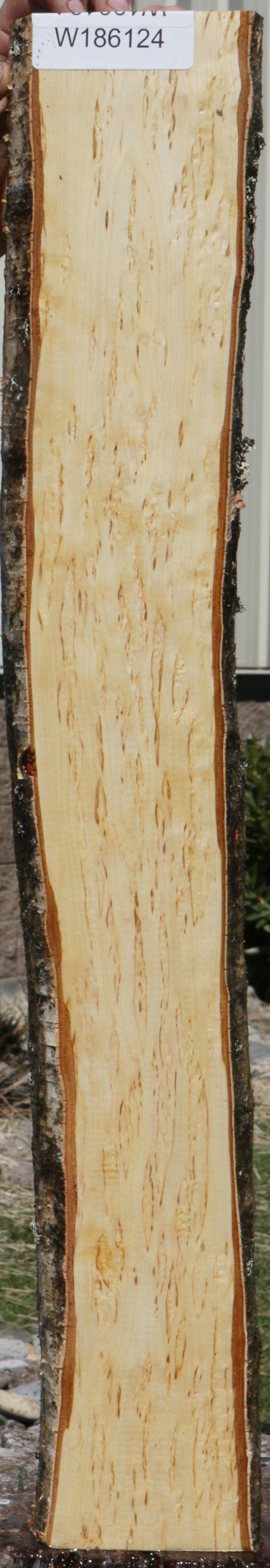 Masur Birch Live Edge Lumber