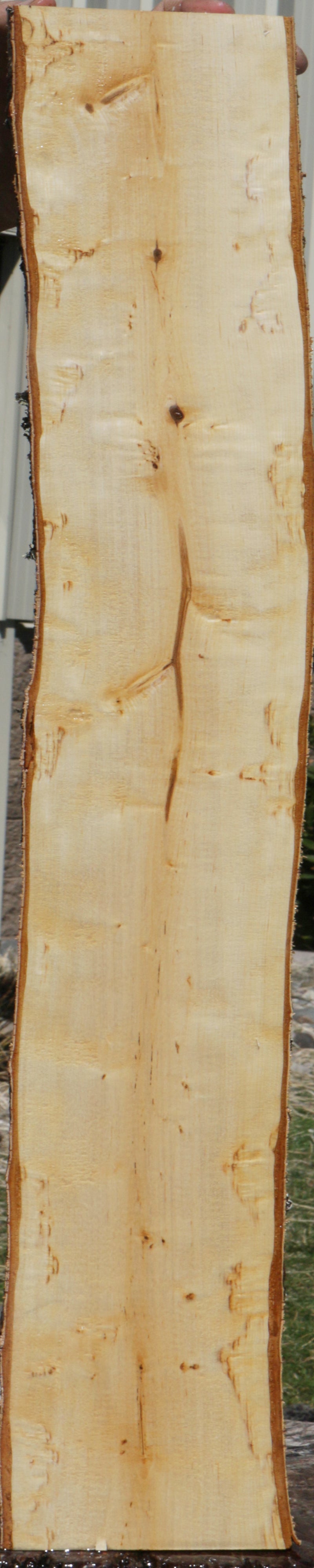 Masur Birch Live Edge Lumber