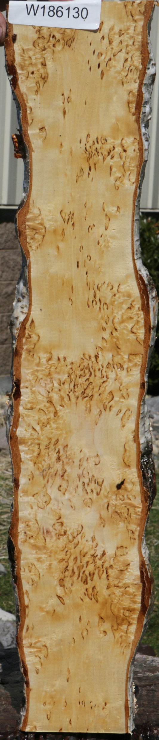 Exhibition Masur Birch Live Edge Lumber