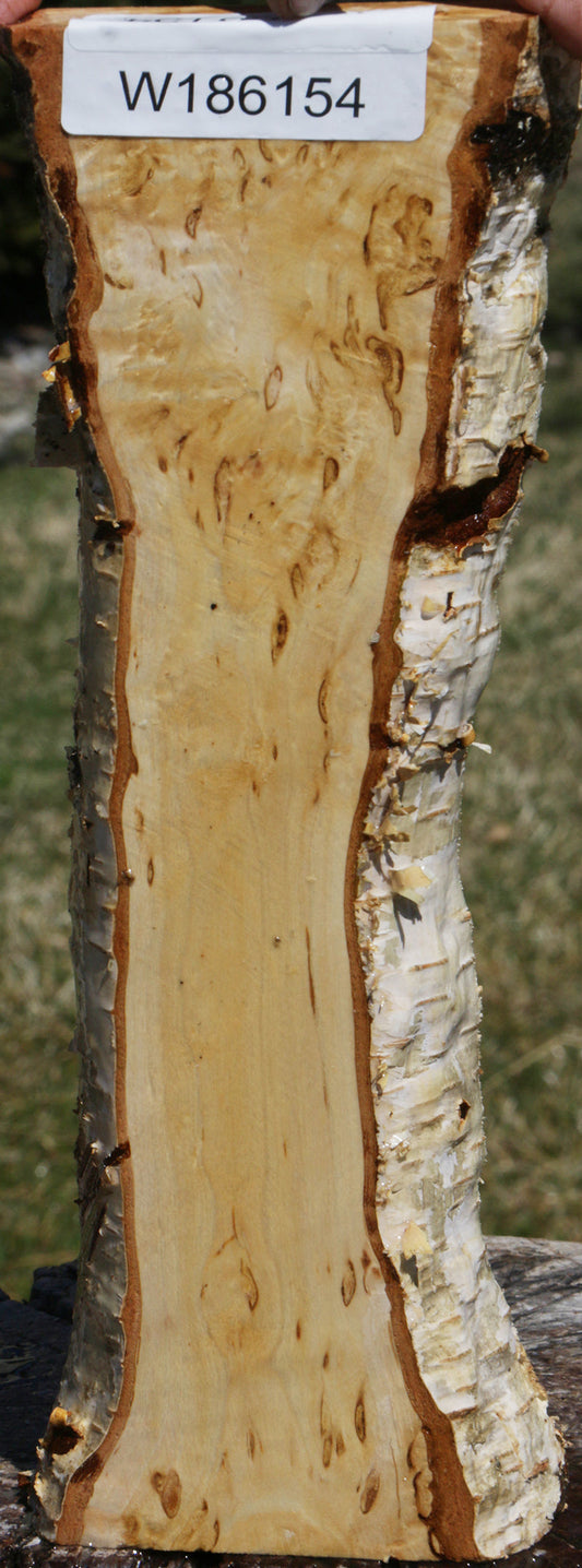 Extra Fancy Masur Birch Live Edge Lumber