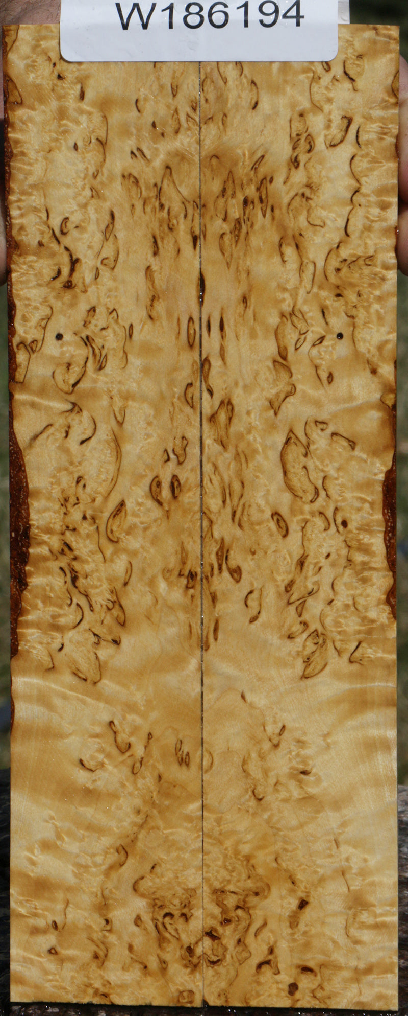 Masur Birch Bookmatched Knife Scales