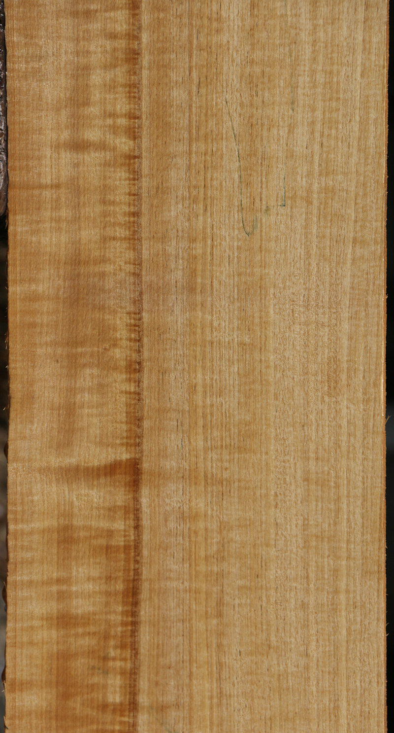 Exhibition Aniegre Lumber