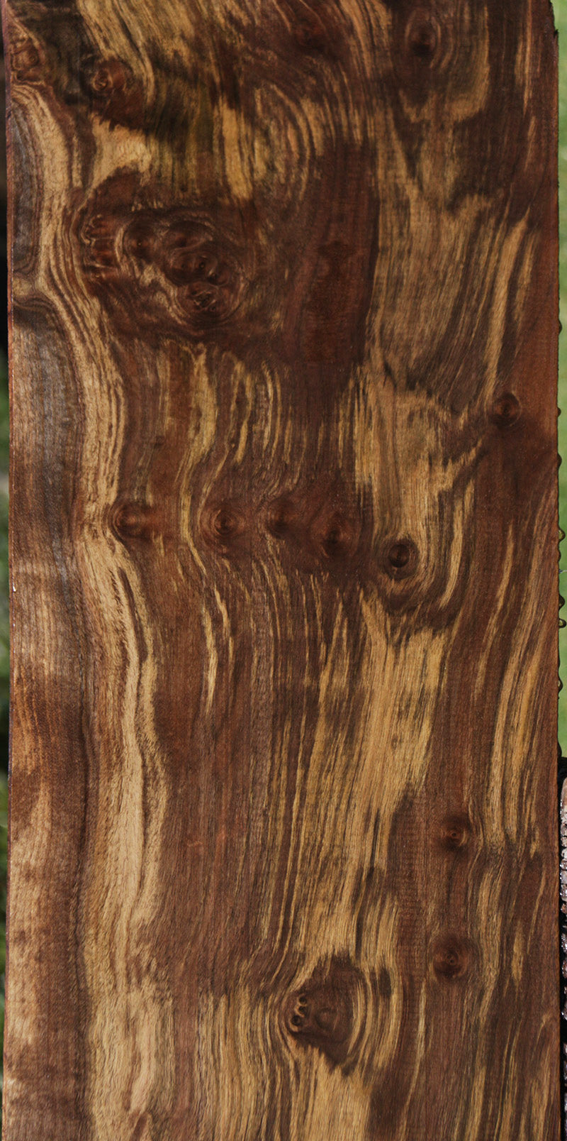 Extra Fancy Grafted Claro Walnut Lumber