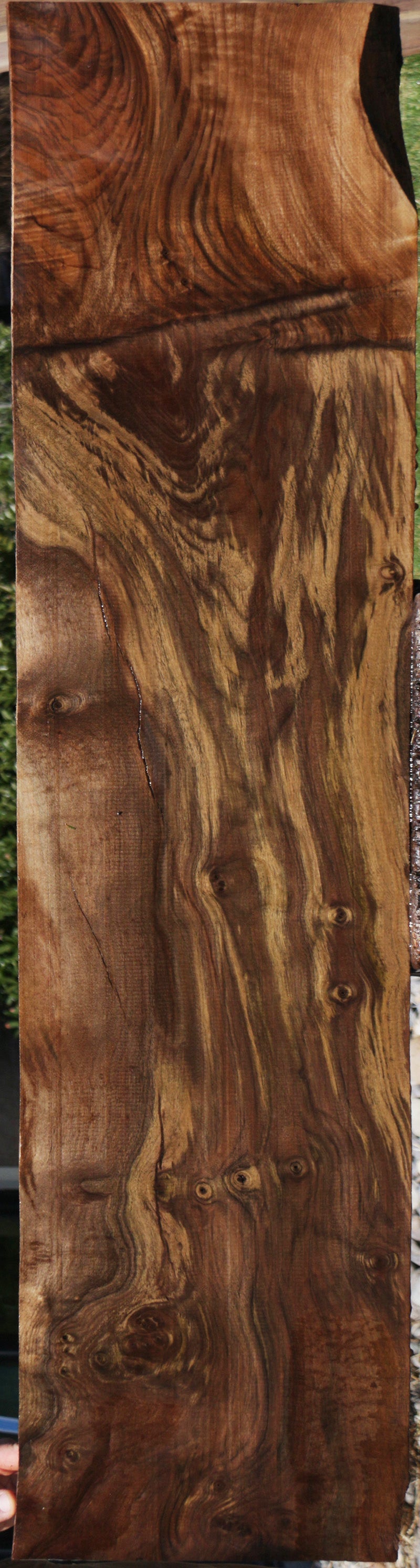 Extra Fancy Grafted Claro Walnut Lumber