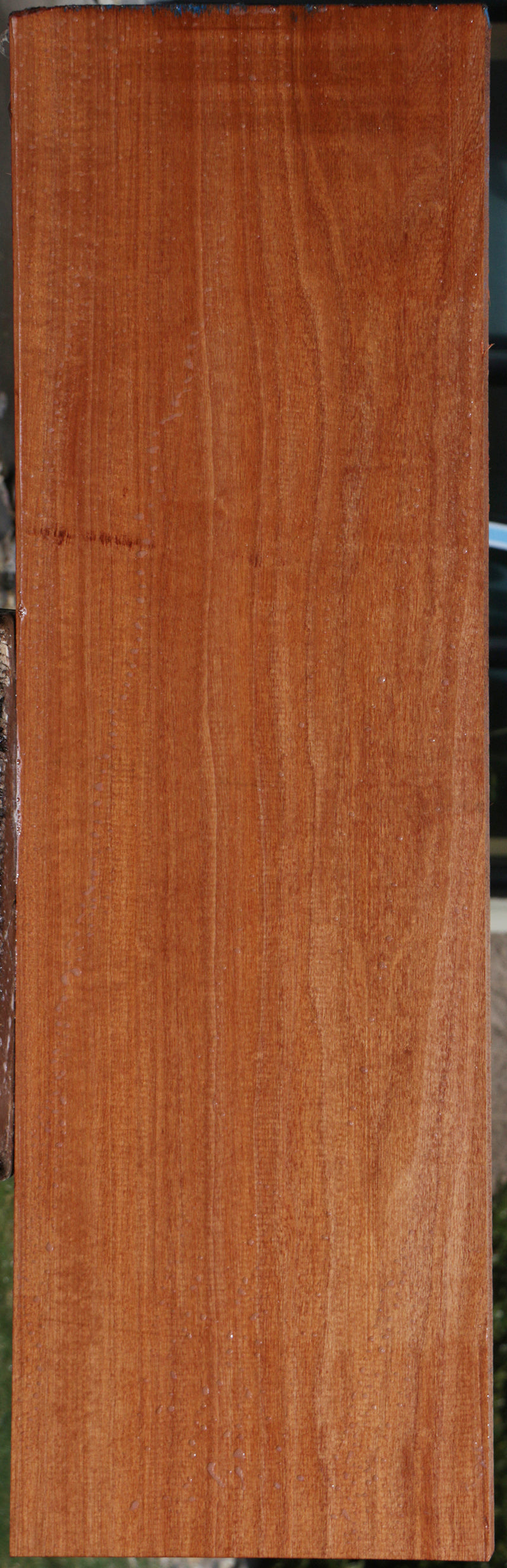 Exhibition Makore Lumber