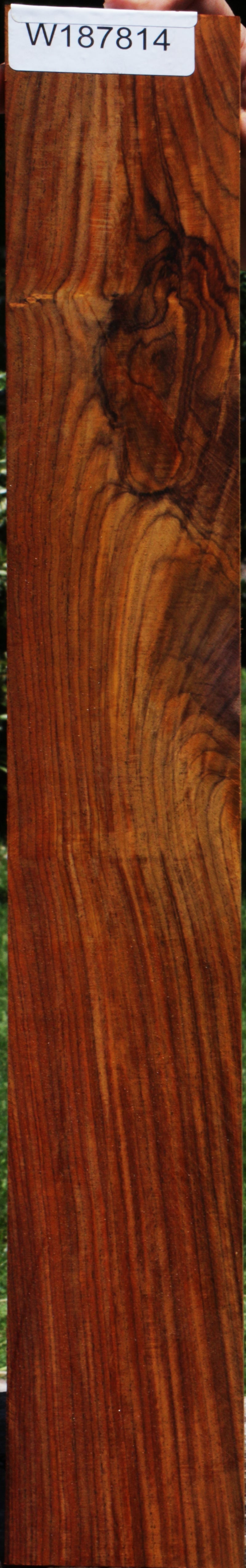Cocobolo Micro Lumber
